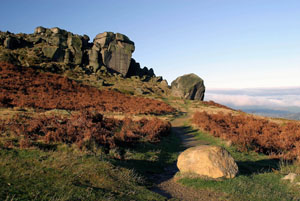 Ilkley-cow-calf.jpg